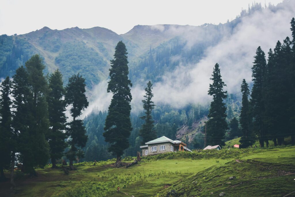 kashmir_trip_annayatourandtravels_image_0.1
