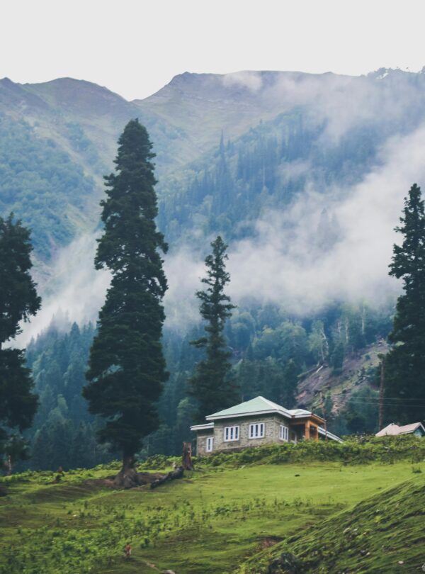 kashmir_trip_annayatourandtravels_image_0.1