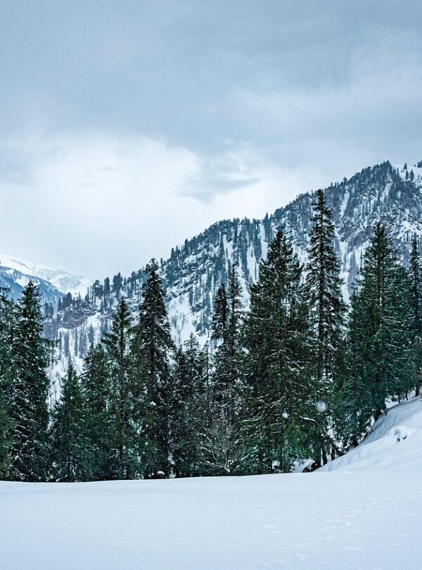 shimla_manali_annayatourandtravels